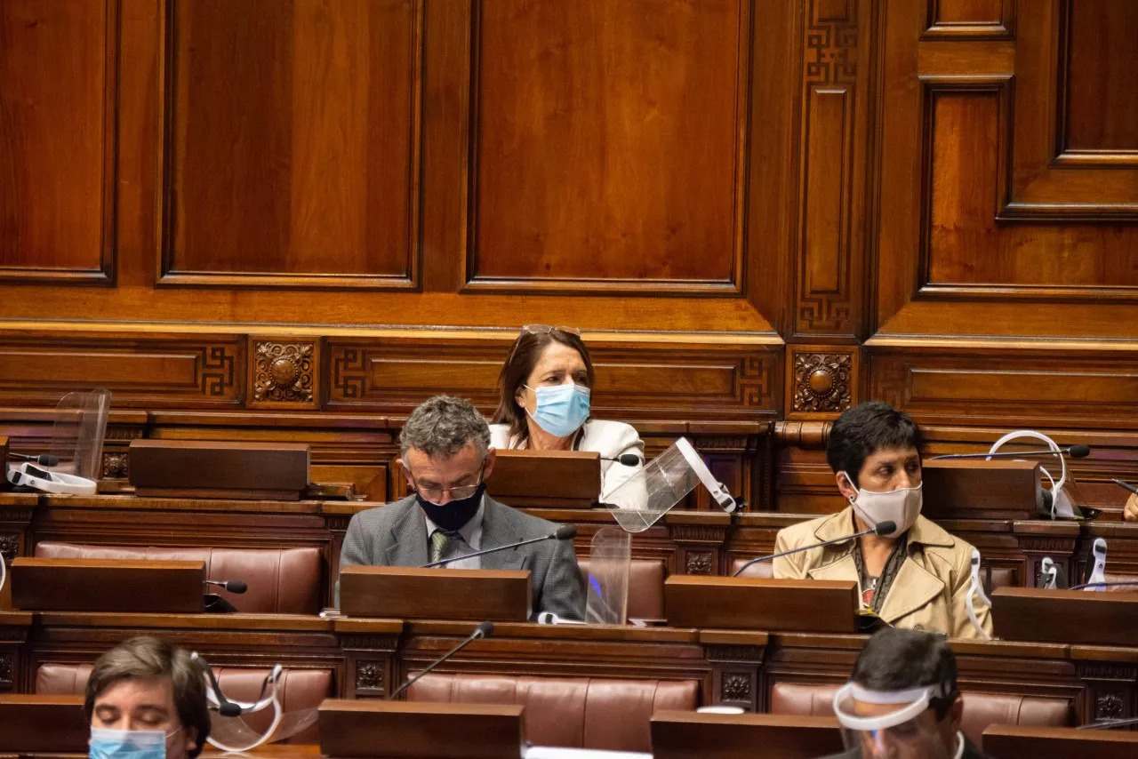 Diputada María Fajardo (5)