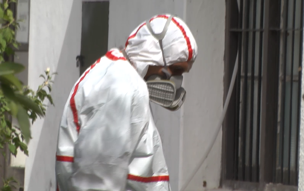fumigaciòn Soriano 24234