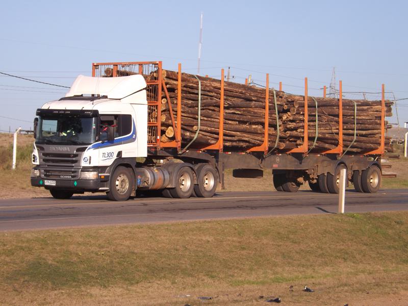 transporte madera