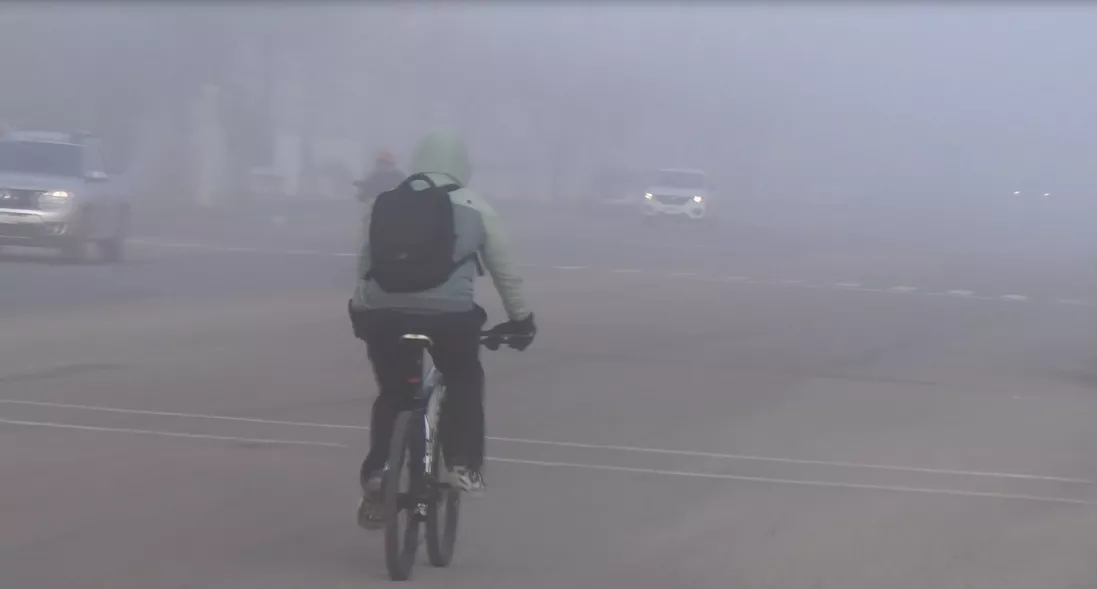 niebla Mercedes 65346