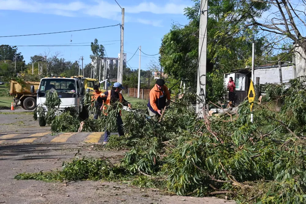 Temporal en Mercedes - trabajos de rehabilitación 9