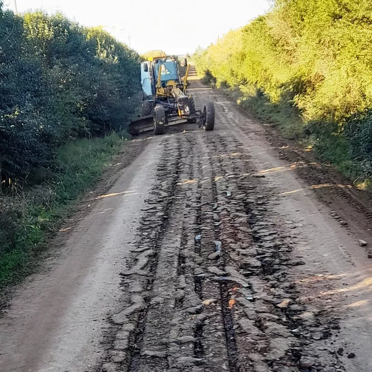zona Perseverano - mantenim. caminería rural 1