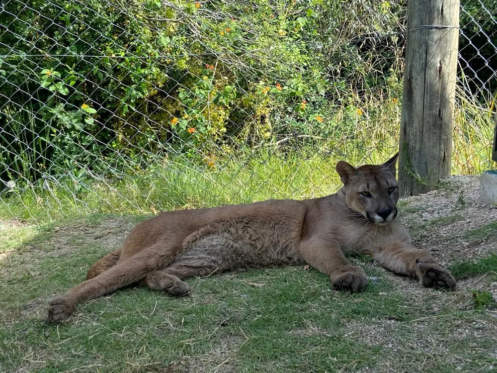 f7c8818e-3868-4627-b179-1e293619ff11