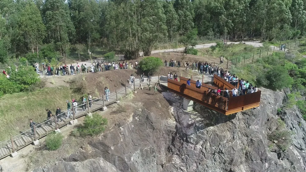 mirador nueva carrara