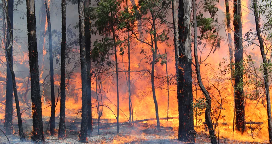 incendio-forestal_0