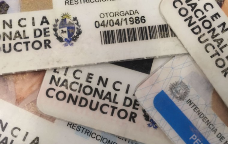 licencia-libreta-conducir-1