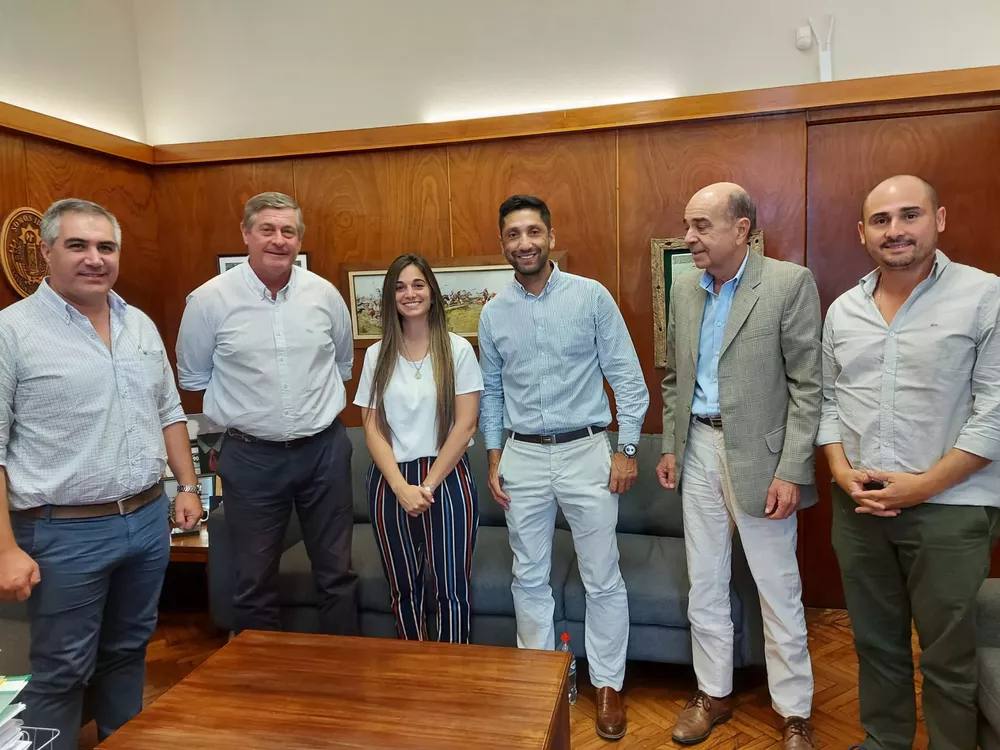 besozzi marrero y empresarios