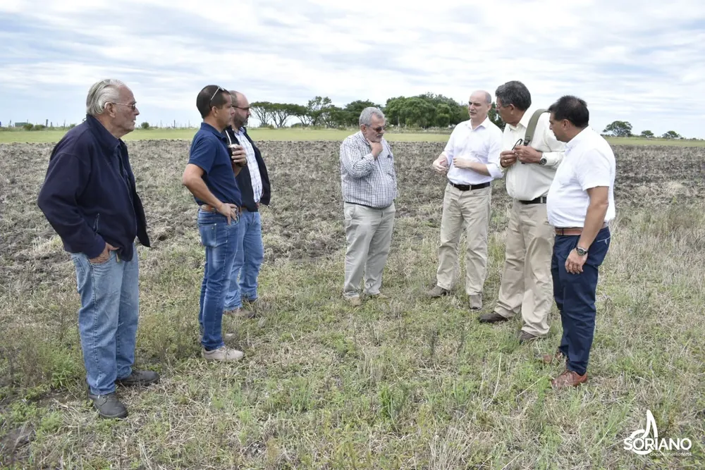 METEOROLOGIA EN CARDONA