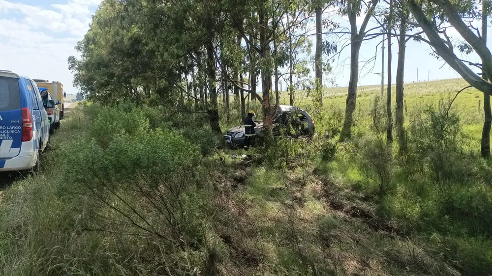 IMG-20241116-WA0014