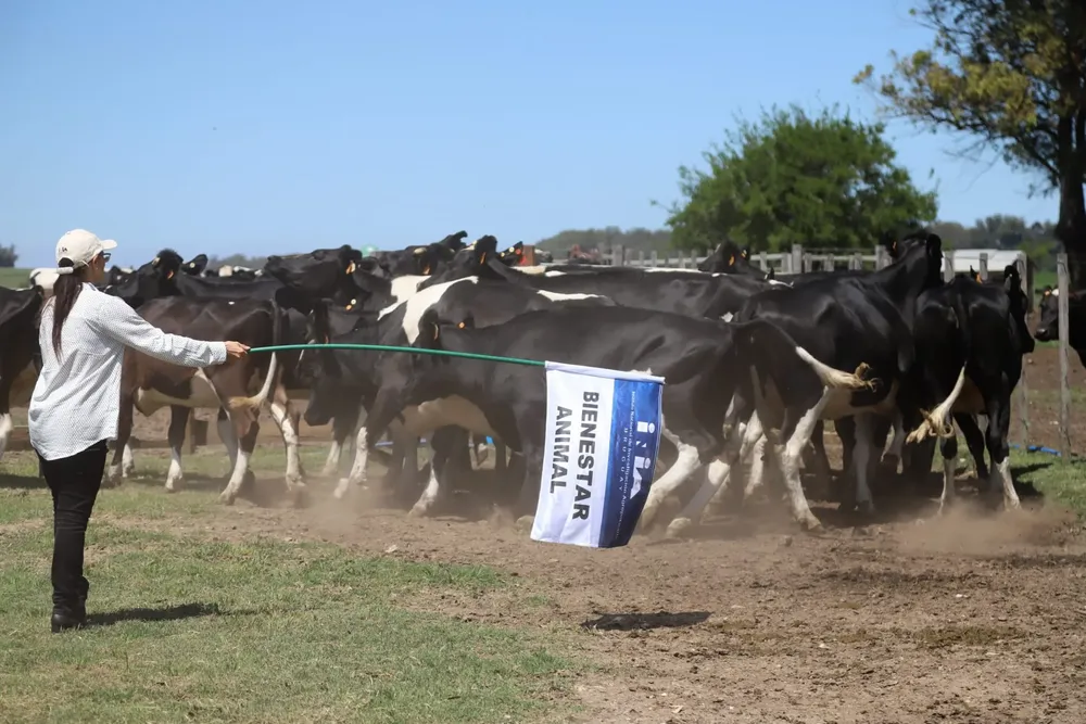 67d1912c-43bb-555f-b491-0b3860f38395