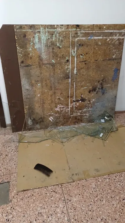 DAÑOSfisc1