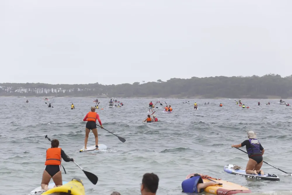 IMG-20250210-WA0098