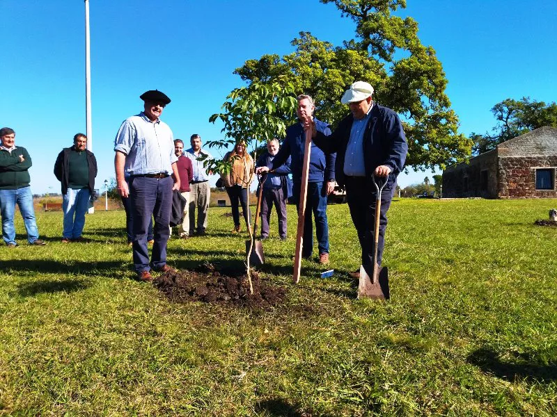 Besozzi en plantación de árboles 1