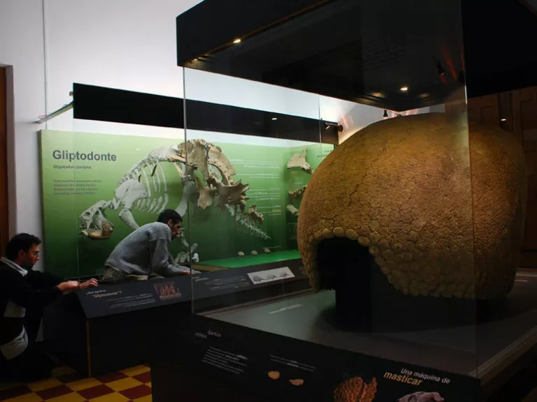 museo alejandro berro_